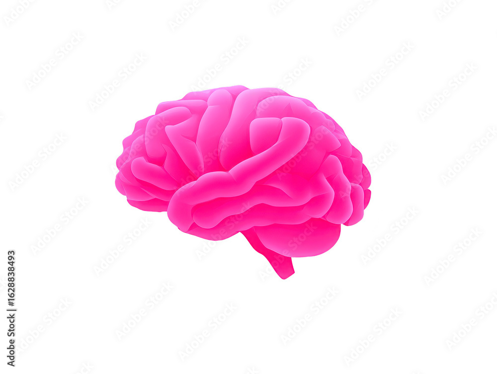 Vibrant pink brain illustration, showcasing intricate folds and curves, symbolizes creativity and intelligence. This eye catching design can be used in various educational and artistic contexts Vibrant pink brain illustration, showcasing intricate folds and curves, symbolizes creativity and intelligence. This eye catching design can be used in various educational and artistic contexts