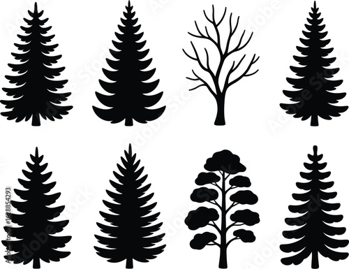 Evergreen Tree Silhouette Collection: A collection of various evergreen tree silhouettes, showcasing diverse shapes and forms, ideal for design and illustrative purposes.