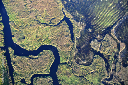 Aerial drone view of the braided Narew River in Poland, a stunning natural wetland landscape