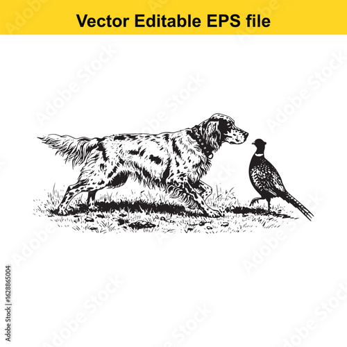 English Setter Vintage Black & White Hunting Dog Illustration with Pheasant – Standing, Jumping, and Hunting Pose