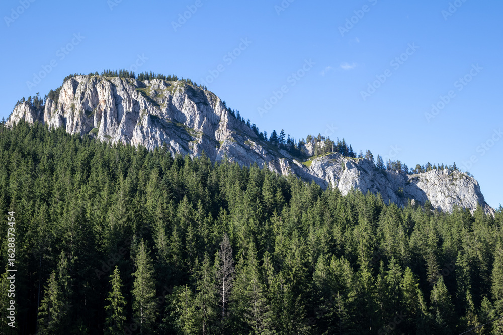 Obraz premium stunning natural landscape featuring a rocky mountain peak covered in pine trees under a clear blue sky. a perfect image for travel and nature themes
