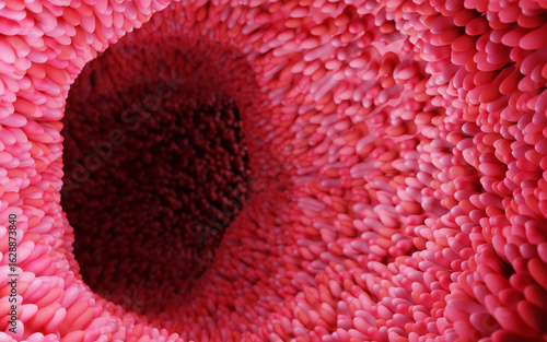 Model of the small intestine in the human body. Microvilli on the surface of digestive system or intestinal tract. anatomy, biology, science, medicine, medical and healthcare concepts. 3D rendering.