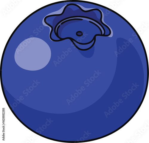 A single, ripe blueberry, plump and dark blue, shown in a close-up illustration.