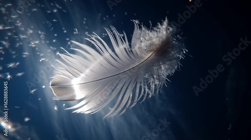 a single white feather slowly drifting down from a clear blue sky, soft sunlight highlighting the edges, cinematic slow motion, 