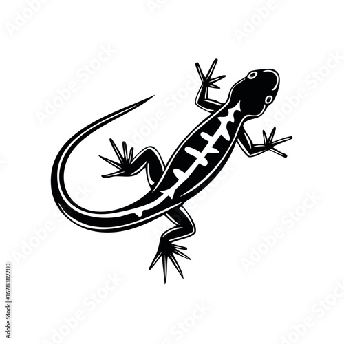 Stylized lizard illustration in black and white. Reptile outline for design or logo.
