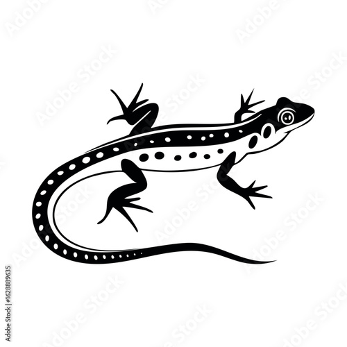 Black and white Lizard illustration, reptile with spotted body, vector illustration