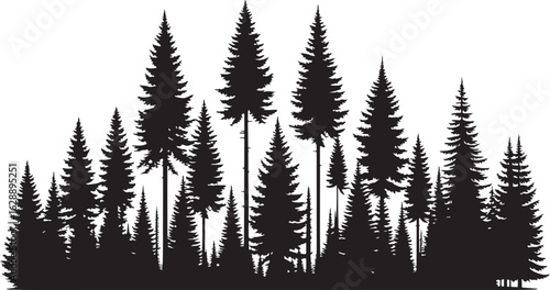 A vector illustration of fir and pine trees with snowy branches and a fern frond set against a winter forest backdrop for the holiday season