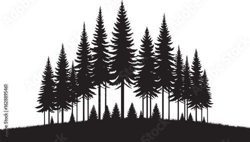 A vector illustration of fir and pine trees with snowy branches and a fern frond set against a winter forest backdrop for the holiday season