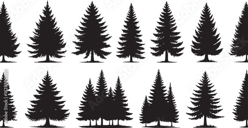 A vector illustration of fir and pine trees with snowy branches and a fern frond set against a winter forest backdrop for the holiday season