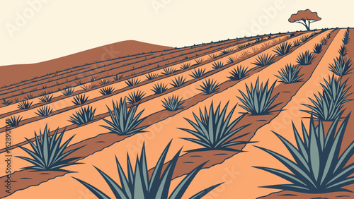 A Colorful Illustration of a Vast Agave Plantation.