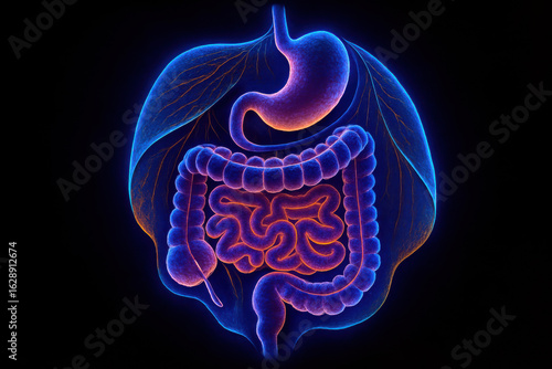 Neon 3D Illustration of Human Digestive System with Mesentery