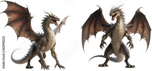 Fototapeta Naklejka Na Ścianę i Meble -  ドラゴン　ワイバーン　幻獣