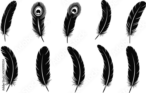  feather, silhouette, vector, black, icon, bird, peacock, shape, quill, nature, plumage, texture, artwork, barbed, curved, feather icon, nature artwork, black silhouette, bird symbol, plumage design
