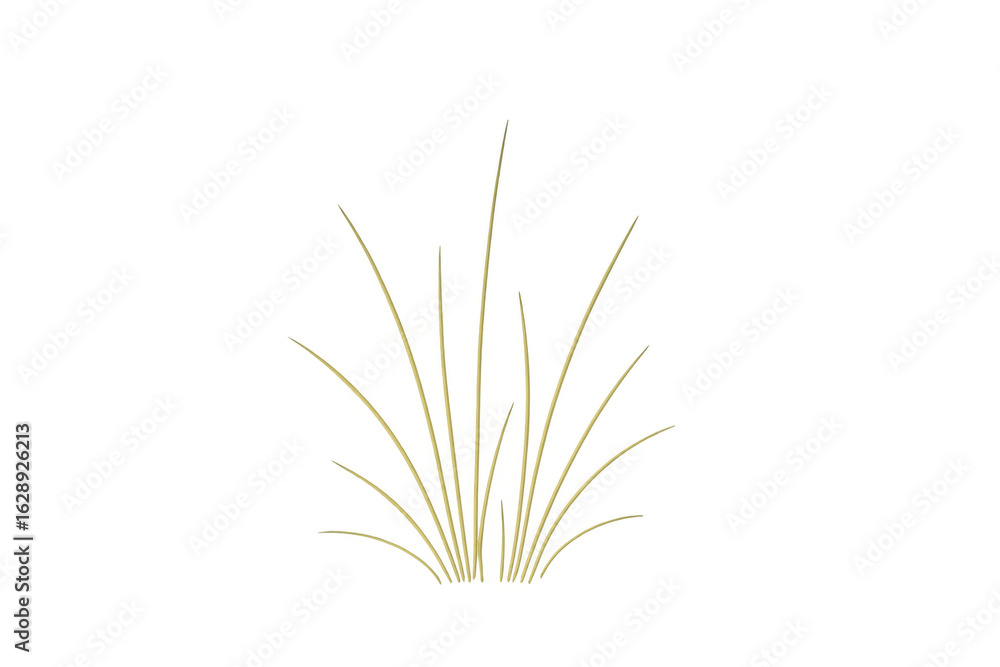 Fototapeta premium Dry grass tuft growing on transparent background, perfect for adding a touch of nature to designs
