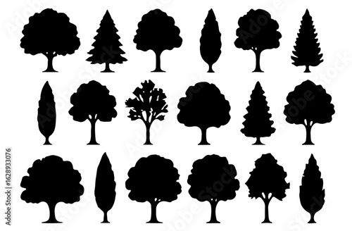 Collection of tree silhouettes, including deciduous, palm, maple, oak, willow, bamboo, cypress, baobab, joshua, and topiary trees isolated on white background