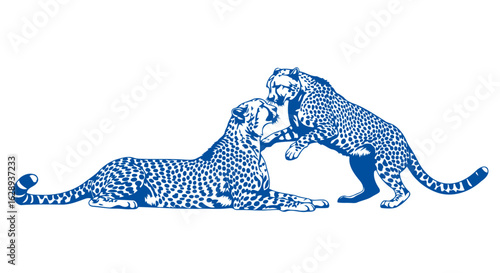 blue leopard showdown fierce competition dynamic duo