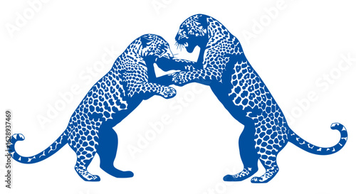 playful blue tigers dynamic duo wrestling transparent png