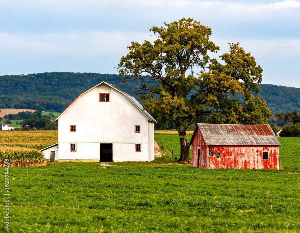 Obraz premium Two barns in a field under a cloudy sky