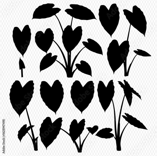 A collection of black silhouettes depicting tropical elephant ear plants and individual heart-shaped leaves.