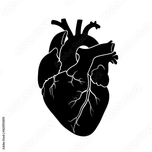 A graphic illustration of an anatomical human heart in a bold black silhouette on a white background.