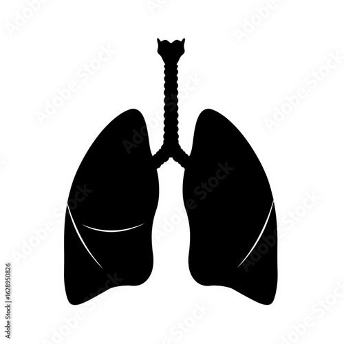 A black silhouette icon of human lungs with the trachea and bronchi on a white background.