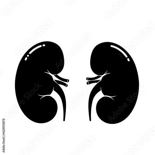Simple black silhouette illustration of a pair of human kidneys.