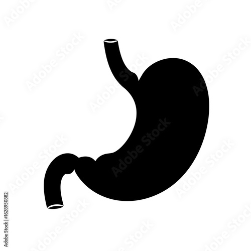 A black silhouette of a human stomach organ, depicted on a white background.