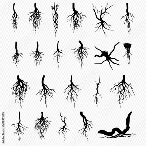 A diverse collection of black plant root silhouettes, illustrating various underground growth systems and structures.