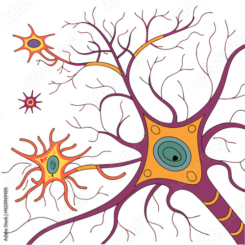 Detailed Illustration of Neuron Cell Structure and Network Connections