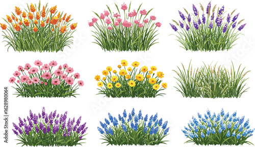 Colorful flower bush vector collection, spring garden floral illustration, blooming meadow plants, realistic botanical greenery, outdoor landscape design, cad drawing flat vector illustration