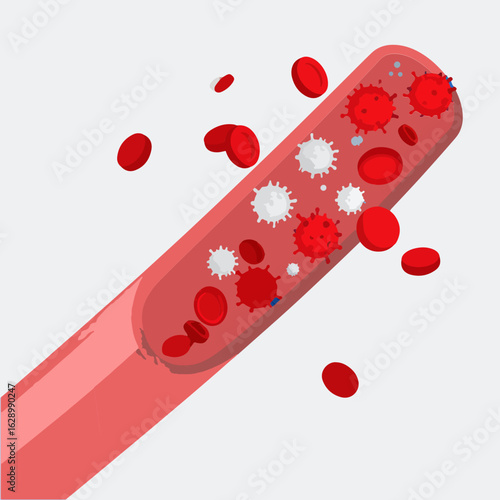 Illustrative depiction of a blood vessel containing red blood cells, white blood cells, and virus particles inside a simplified vector illustration.