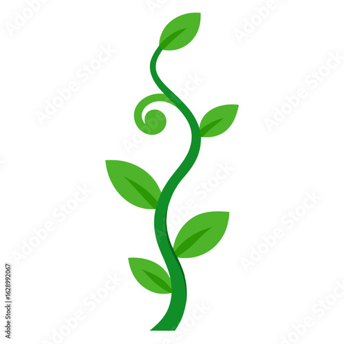 Green plant stem with leaves and a spiral tendril