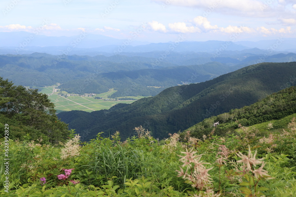 Naklejka premium 白馬,小遠見山の風景、高山植物と麓の田園風景。