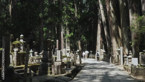 Summer at Okunoin, Koyasan – World Heritage Site, Koya Town, Wakayama Prefecture, Japan　世界遺産・高野山「夏の奥之院」和歌山県高野町	