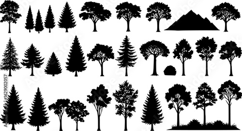Tree and forest silhouettes - Vector illustration collection of trees and wilderness objects to create your own nature scene.