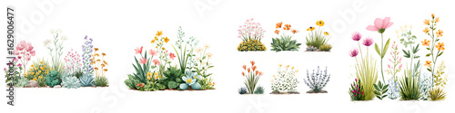 Wallpaper Mural Watercolor Wildflower Collection - Floral Border Elements Torontodigital.ca