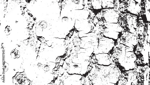 Monochrome Distressed Tree Bark Grunge Texture