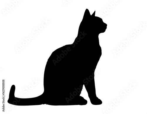A simple black silhouette of a cat sitting, facing right, on a white background