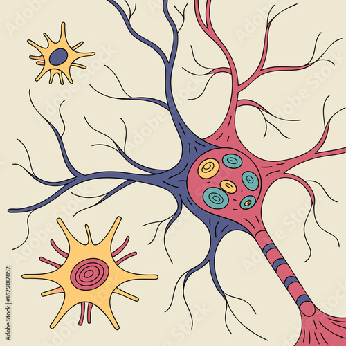 Colorful Artistic Neuron Illustration, Detailed Cell Anatomy Diagram