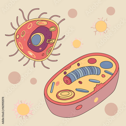Colorful Cell Biology Illustration: Microscopic Anatomy Diagram