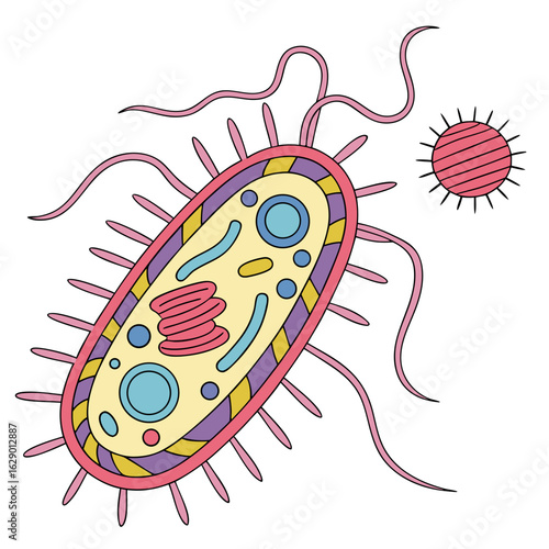 Colorful Cartoon Illustration of a Bacterium and Virus