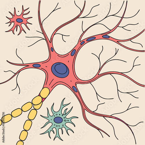Colorful Illustration of Neuron Cell Structure