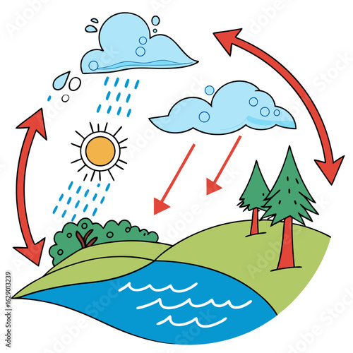 Colorful Illustration of the Water Cycle with Sun, Clouds, Rain, Trees, and River