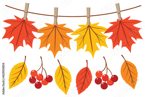 Autumn Leaves And Berries Hanging On A Clothesline With Clothespins fall rowan
