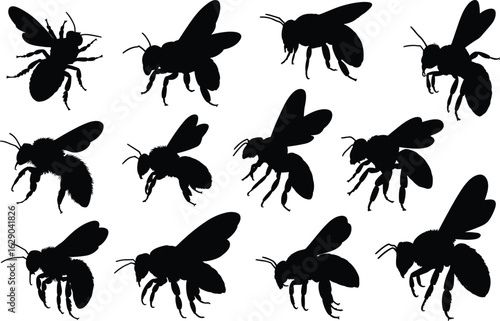 Honey bee silhouette collection, realistic flying bee icons, detailed insect shapes, black isolated bee insect design, flat vector.eps