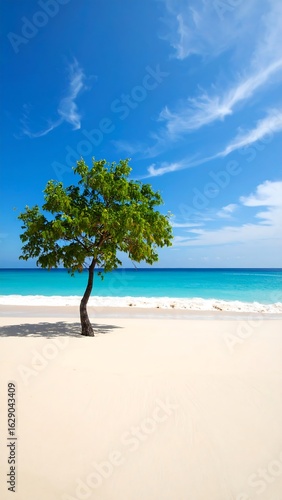 Lone tree on pristine beach, turquoise water, bright sky