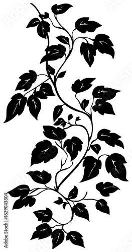 Virginia creeper vine corner border silhouette