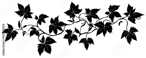 Virginia creeper vine corner border silhouette