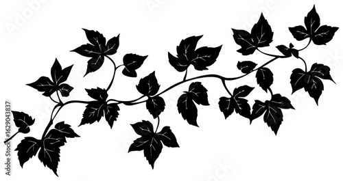 Virginia creeper vine decoration silhouette