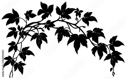 Virginia creeper vine decoration silhouette